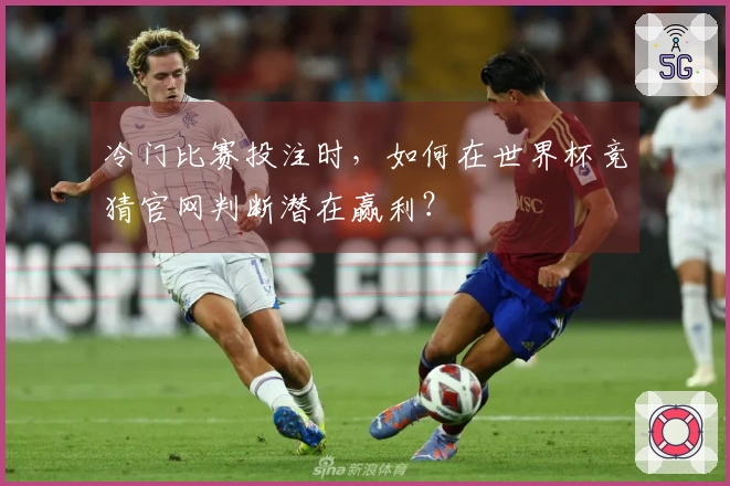 冷门比赛投注时，如何在世界杯竞猜官网判断潜在赢利？