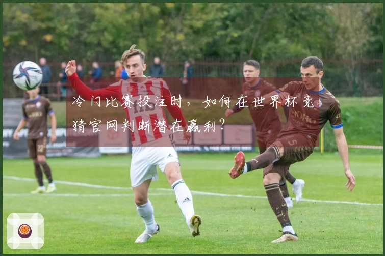 冷门比赛投注时，如何在世界杯竞猜官网判断潜在赢利？