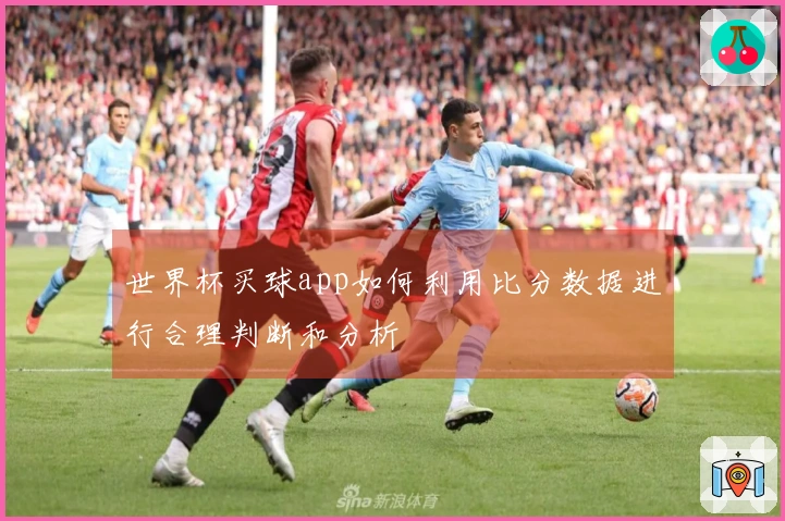 世界杯买球app如何利用比分数据进行合理判断和分析