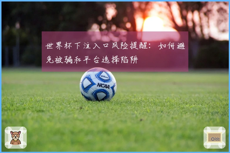 世界杯下注入口风险提醒：如何避免被骗和平台选择陷阱