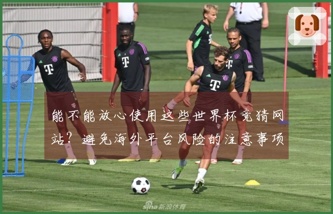 能不能放心使用这些世界杯竞猜网站？避免海外平台风险的注意事项