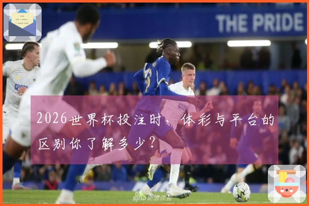 2026世界杯投注时，体彩与平台的区别你了解多少？