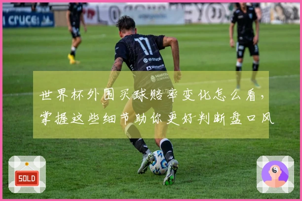 世界杯外围买球赔率变化怎么看，掌握这些细节助你更好判断盘口风险