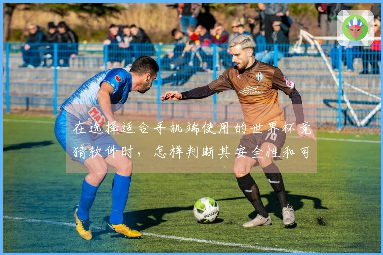在选择适合手机端使用的世界杯竞猜软件时，怎样判断其安全性和可信度？