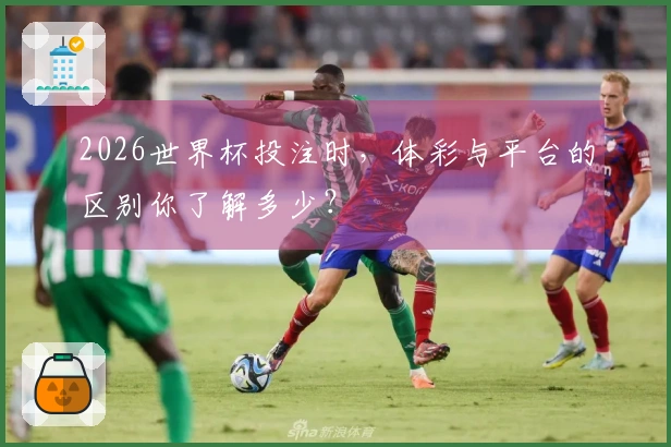2026世界杯投注时，体彩与平台的区别你了解多少？
