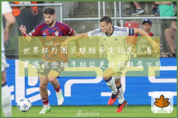 世界杯外围买球赔率变化怎么看，掌握这些细节助你更好判断盘口风险