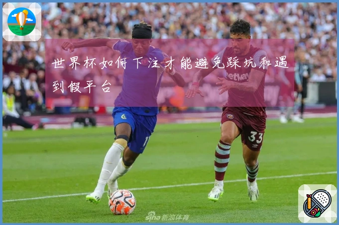 世界杯如何下注才能避免踩坑和遇到假平台