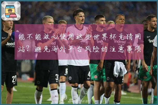 能不能放心使用这些世界杯竞猜网站？避免海外平台风险的注意事项